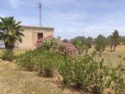 C/da Piano Chiesa 32mq