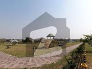 CDA Sector Park Enclave 2 50*90 500 Square Yards Plot...