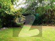 CDA Transfer Corner House Available For Sale