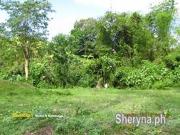 Cebu Lot Only Talamban near Metropolis 113 sqm