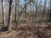 Cedar Bridge Rd, Barnegat, Plot For Sale