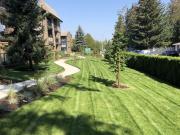 Cedar Green Apartments 2 Bedroom Apartment for Rent at...