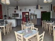 CEDESI ATTIVITA' COMMERCIALE