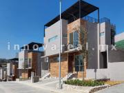 Ceiba Arborada en Lago Esmeralda