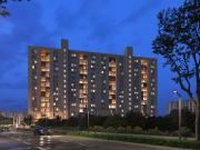 Celestia,Fursungi 2 BHK Apartment For Sale Pune