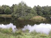 Cellan, Lampeter, Farm Land For