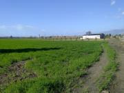 Cellole Ce praticamente alle spalle del BORGO CENTORE...