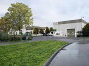 Cellules d'activités à vendre Scherwiller Proche A35