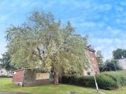 Celyn Court, Pontnewydd, 2 Bedroom Flat