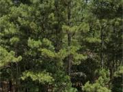 Center Bapt Ch Rd, Jackson Springs, Plot For Sale