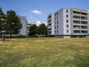 Central studio sought