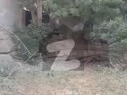 Centrally Located Residential Plot In PECHS Block 3 Is...