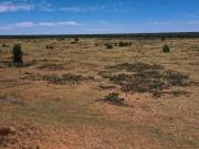 Centrally Located with Excellent Access