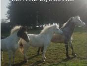 Centre Equestre en Centre Bretagne, Murs commerciaux