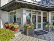 Centric LoHi by Windsor E1