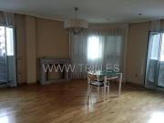 céntrico sin amueblar