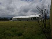 CENTRO AMECAMECA, BODEGA, VENTA, AMECAMECA, EDO. MEX