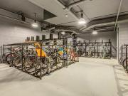 Centro Arlington D 3