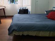 Centro, Calle Independencia Zona Verde Alameda, Espaldas...