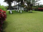 Centro da cidade com 4780m2 de Terreno ! Centro da cidade com 4780m2 de Terreno !