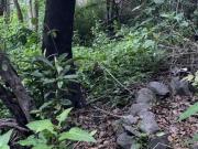 CENTRO de Cuernavaca