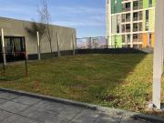 CENTRO DV SNC1X