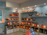 Centro estetico Solarium Benessere in vendita a Vigolzone