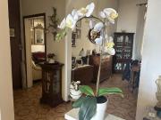 CENTRO quadrilocale 115mq