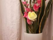 Centro San Lorenzo universit la sapienza