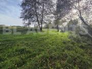 Cérans Foulletourte Vente Terrain 72
