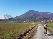 CERCO TERRENO AGRICOLO CERIALE ALBENGA LOANO ANDORA