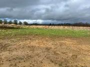 Cerisé 61000 Programme neuf terrain neuf à vendre