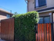 CERRO MEDITERRÁNEO. LOS HIMALAYA