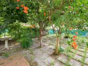 CESENA SAN MAURO IN VALLE villetta a schiera GIARDINO...