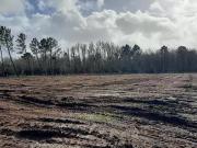 Cestas 33610 Programme neuf terrain neuf à vendre