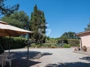 Cetona Siena 82073992