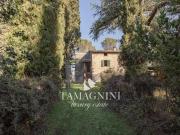 Cetona toscana casale immerso tra olivi 300m² Cetona