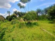 ChÃ¡cara 2 quartos para LocaÃ§Ã£o em EstÃ¢ncia JÃ³ckei...