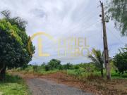 Chácara 8000m² incra 09 br 070 próximo da prf ceilândia...