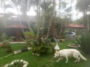 Chácara a venda com 2 casas no Bairro dos Fernandes em... Chácara a venda com 2 casas no Bairro dos Fernandes em...