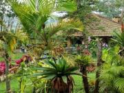 Chácara com 3 dormitórios, 3900 m² venda por R$...