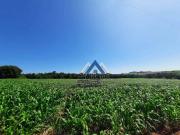 Chácara com 3 dormitórios à venda, 24200 m² por R$... Chácara com 3 dormitórios à venda, 24200 m² por R$...