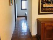 ChÃ¡cara com 4 dormitÃ³rios para alugar, 3000 mÂ² por R$...