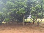 Chácara no Núcleo Rural Rajadinha 2, 1.650.000