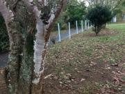 ChÃ¡cara para Venda em PiraÃ, Enseada das GarÃ§as, 2...