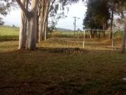 Chácara à venda de 190m² | 02 dormitórios, 01... Chácara à venda de 190m² | 02 dormitórios, 01...