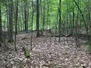 Ch. Du Lac De L'Écluse, Val Des Monts, QC, J8N 1E1...