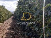 CHÁCARA DE PRODUÇÃO DE CAFÉ EM PATROCÍNIO MG