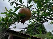 Chácara eldorado c/ 7.500m2 de área