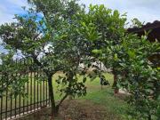 Chácara em Rodeio Santo Antonio, Balsa Nova/PR